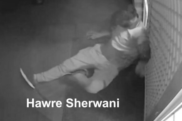 Hawre Sherwani